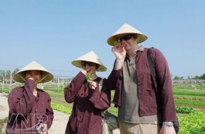 Làng rau Trà Quế - Công Ty TNHH MTV Du Lịch Thương Mại Và Xây Dựng Sông Hội